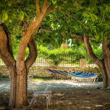 St. Harry'S Windmill Makris Gialos (Zakynthos) Exterior foto