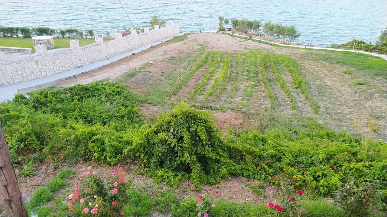 St. Harry'S Windmill Makris Gialos (Zakynthos) Quarto foto