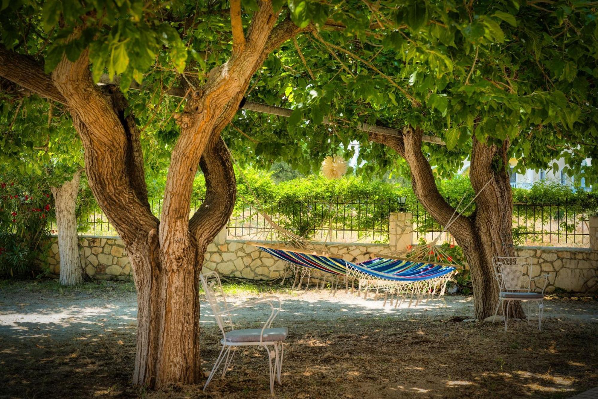 St. Harry'S Windmill Makris Gialos (Zakynthos) Exterior foto
